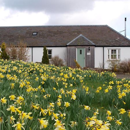 Dalnoid Cottages & Treehouses Nr Glenshee Esterno foto